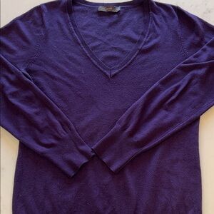 The Limited Rich Purple V-Neck Sweater
